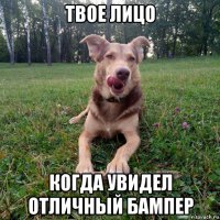 твое лицо когда увидел отличный бампер