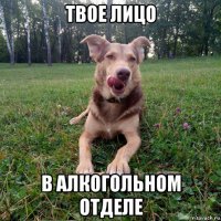 твое лицо в алкогольном отделе