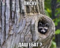 писку даш ебат ?