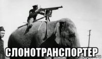  слонотранспортер