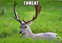 тимейт 