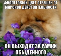 фиолетовый цвет отрешен от мирской действительности он выходит за рамки обыденного