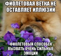 фиолетовая ветка не оставляет иллюзий фиолетовый способен вызвать очень сильные эмоции