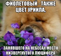 фиолетовый - также цвет уриила, занявшего на небесах место низвергнутого люцифера