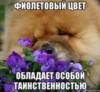 фиолетовый цвет обладает особой таинственностью