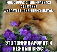 мне сейчас очень нравится сочетание фиолетово–сиреневых цветов. это тонкий аромат, и нежный вкус!