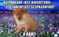 выражение «всё фиолетово» — это значит всё безразлично! а вам?