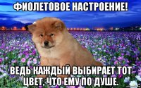 фиолетовое настроение! ведь каждый выбирает тот цвет, что ему по душе.