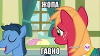 жопа гавно