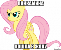 пинкамина пошла в жопу