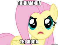 пинкамина ты жопа