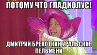 потому что гладиолус! дмитрий брекоткин уральские пельмени