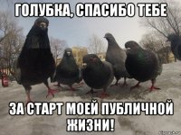 голубка, спасибо тебе за старт моей публичной жизни!
