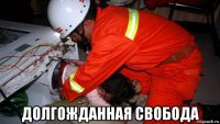  долгожданная свобода