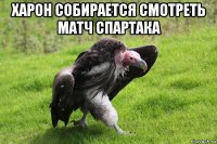харон собирается смотреть матч спартака 