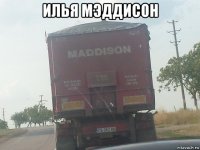 илья мэддисон 