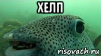 хелп 