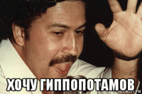  хочу гиппопотамов