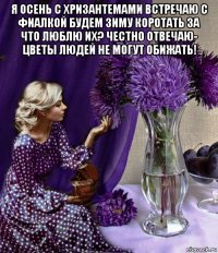 я осень с хризантемами встречаю с фиалкой будем зиму коротать за что люблю их? честно отвечаю- цветы людей не могут обижать! 