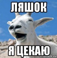 ляшок я цекаю
