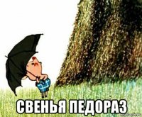  свенья педораз