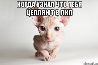 когда узнал что тебя цепляют в лкп 