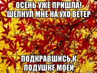 осень уже пришла! шепнул мне на ухо ветер подкравшись к подушке моей