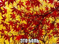  это боль