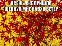осень уже пришла шепнул мне на ухо ветер 