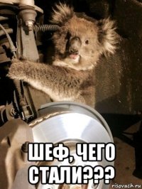  шеф, чего стали???