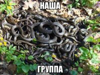 наша группа