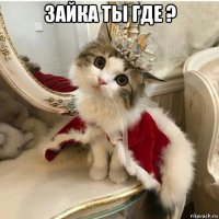 зайка ты где ? 