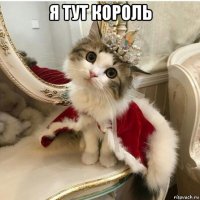 я тут король 