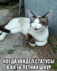  когда увидел статусы в вк 14-летних шкур