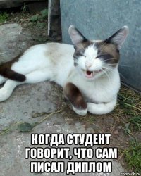  когда студент говорит, что сам писал диплом