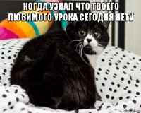когда узнал что твоего любимого урока сегодня нету 