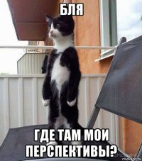 бля где там мои перспективы?