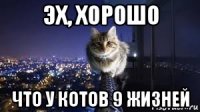эх, хорошо что у котов 9 жизней