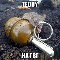 teddy на гвг