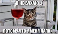 я не бухаю :( потому что у меня лапки...