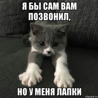 я бы сам вам позвонил, но у меня лапки