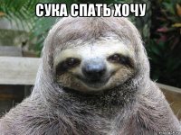 сука спать хочу 