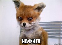  нафига