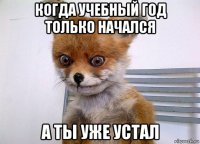 когда учебный год только начался а ты уже устал