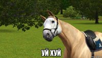  уй хуй