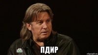  пдир