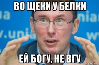 во щеки у белки ей богу, не вгу