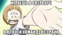 играешь в овервотч а в твоей команде все раки
