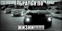 братья по жизни!!!!!!!