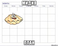 мидия план